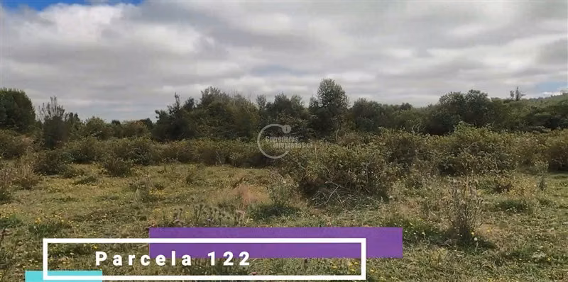 Parcela en venta en Puyehue, Vista Privilegiada