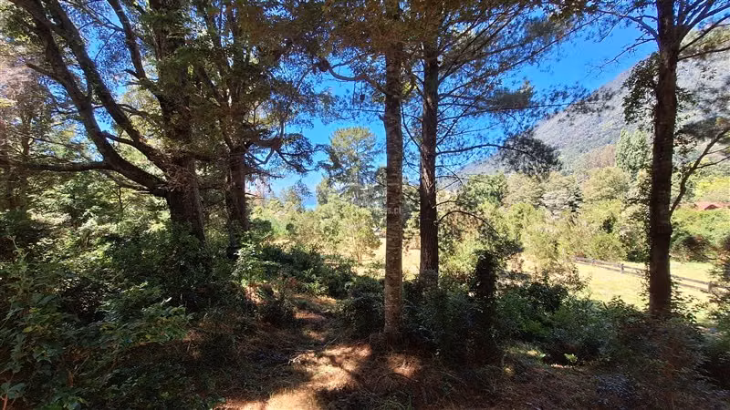 Sitio Desague Riñihue, condominio urbanizado, acceso al Rio