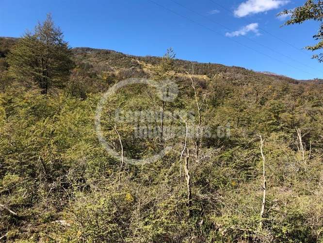 90 heventa en Cochrane Río Baker maravilloso BN