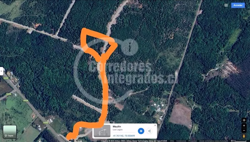 Parcela en vta Maullín Sector Astillero, con árboles nativos