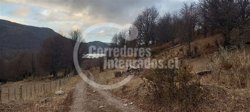 Parcela en vta 5000 m2 en Lago Castor Coyhaique