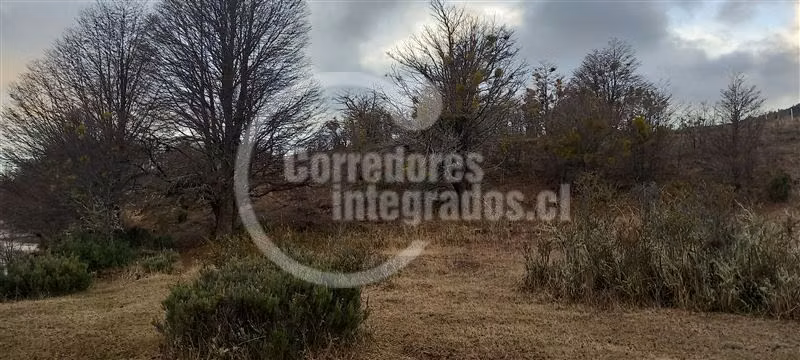 Parcela en vta 5000 m2 en Lago Castor Coyhaique