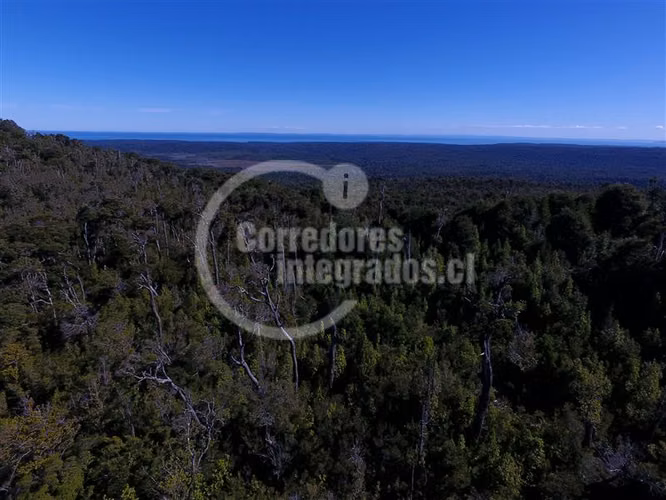 Agrícola en venta en Hualaihue