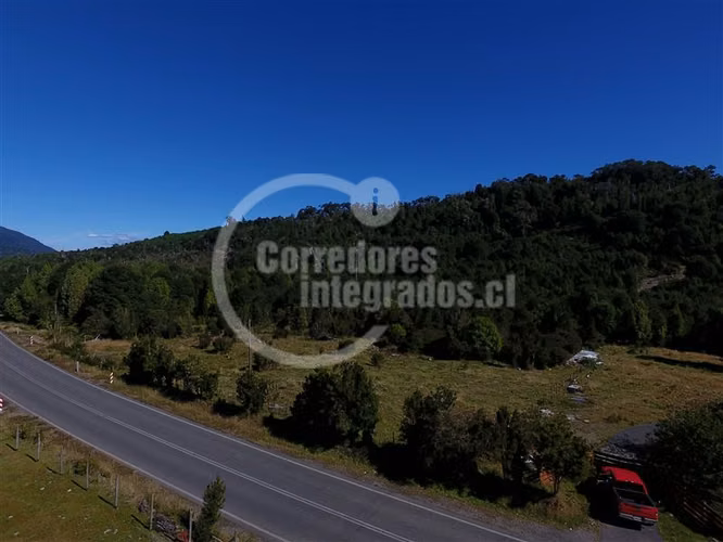 Agrícola en venta en Hualaihue