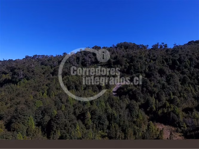 Agrícola en venta en Hualaihue