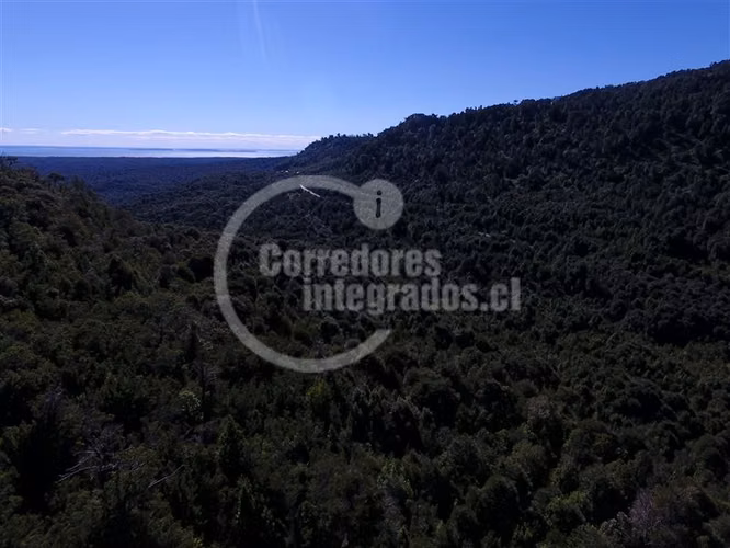 Agrícola en venta en Hualaihue