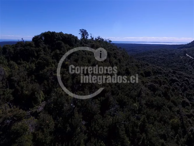 Agrícola en venta en Hualaihue