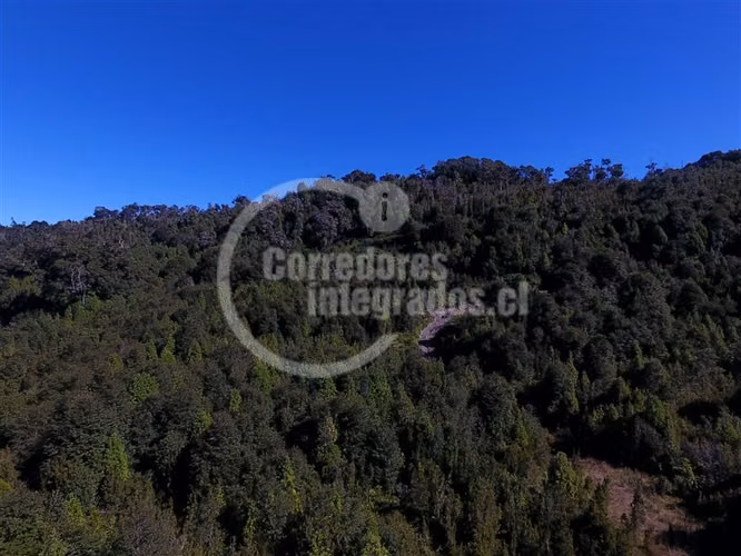 Agrícola en venta en Hualaihue
