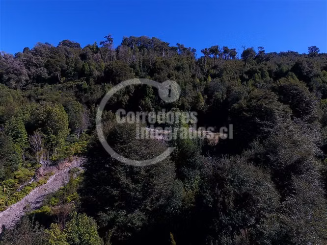 Agrícola en venta en Hualaihue