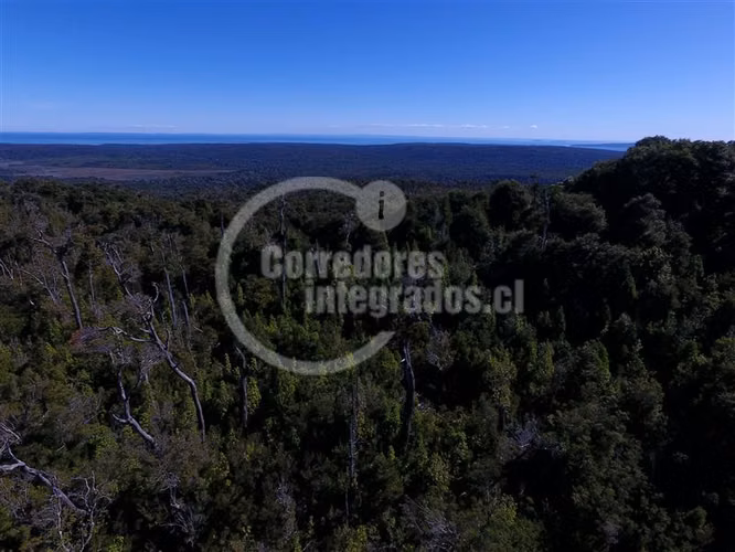 Agrícola en venta en Hualaihue