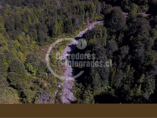 Agrícola en venta en Hualaihue