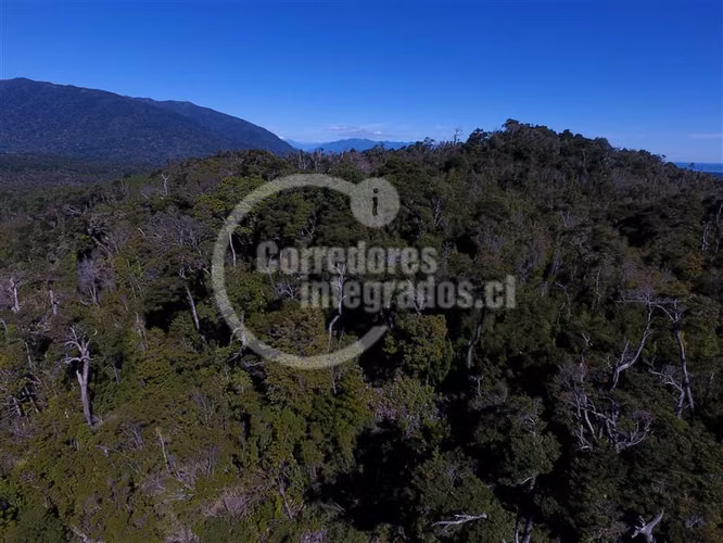 Agrícola en venta en Hualaihue