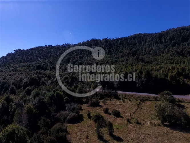 Agrícola en venta en Hualaihue