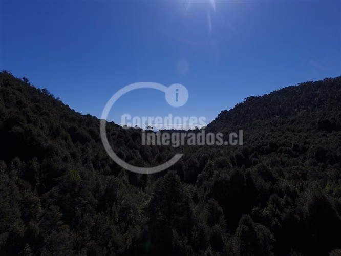 Agrícola en venta en Hualaihue