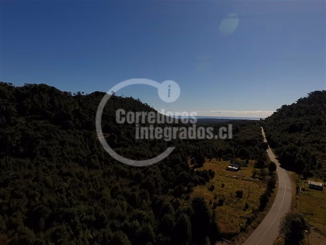 Agrícola en venta en Hualaihue