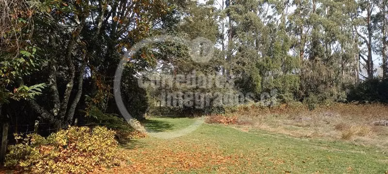 Parcela única en Puerto Varas, borde lago. Camino a Ensenada
