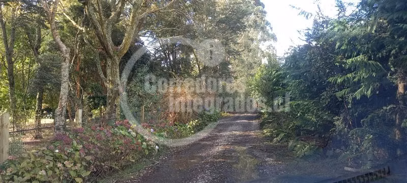Parcela única en Puerto Varas, borde lago. Camino a Ensenada
