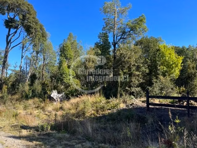 Parcela 20 min P. Varas bosque nativo vista Vn. Calbuco FO