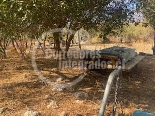 Agrícola en venta en San Pedro, casa, piscina, frutales
