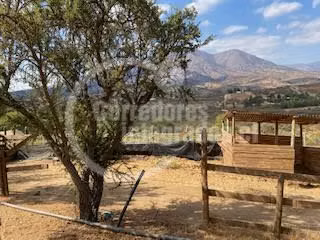 Agrícola en venta en San Pedro, casa, piscina, frutales
