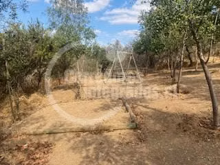 Agrícola en venta en San Pedro, casa, piscina, frutales