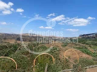 Agrícola en venta en San Pedro, casa, piscina, frutales