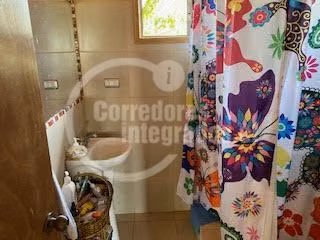 Agrícola en venta en San Pedro, casa, piscina, frutales