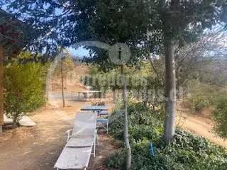 Agrícola en venta en San Pedro, casa, piscina, frutales