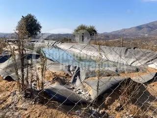 Agrícola en venta en San Pedro, casa, piscina, frutales