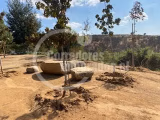 Agrícola en venta en San Pedro, casa, piscina, frutales