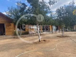 Agrícola en venta en San Pedro, casa, piscina, frutales