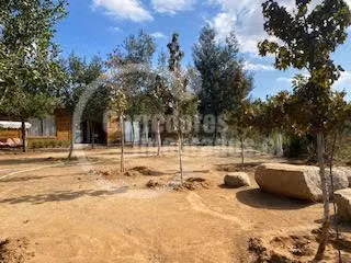 Agrícola en venta en San Pedro, casa, piscina, frutales