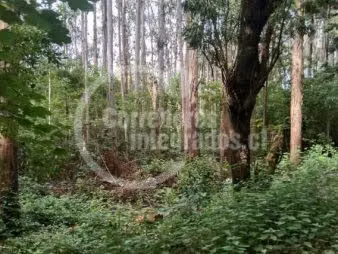 Terreno Construcción en Venta en Osorno