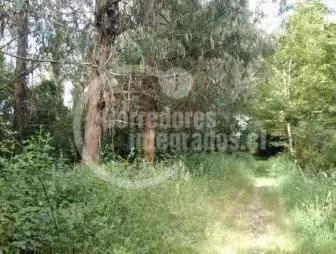 Terreno Construcción en Venta en Osorno