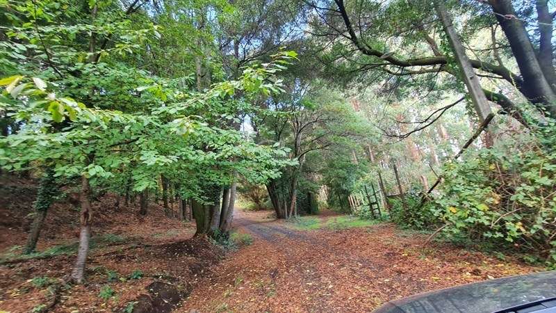 Terreno Construcción en Venta en Osorno