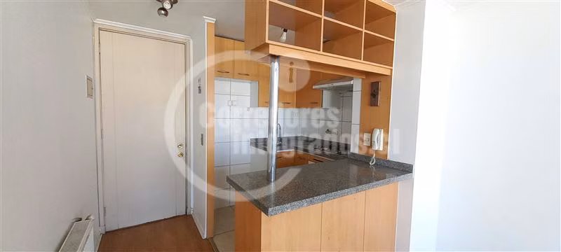 Oportunidad inversión 33 mts, 1D/1B, E. Fernández - Araya DN