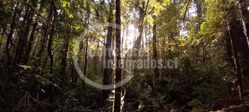 Agrícola en venta en Chaitén
