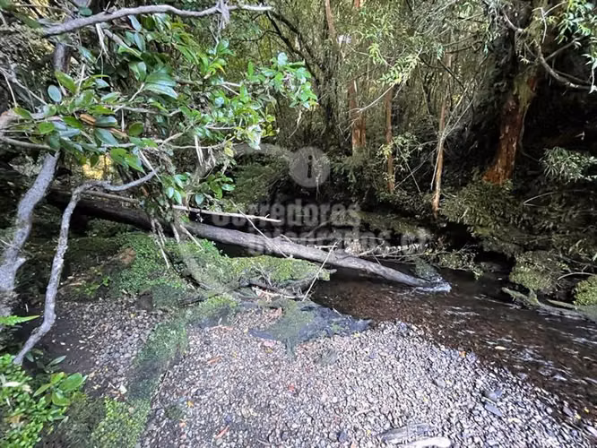 Agrícola en Venta en Hualaihue