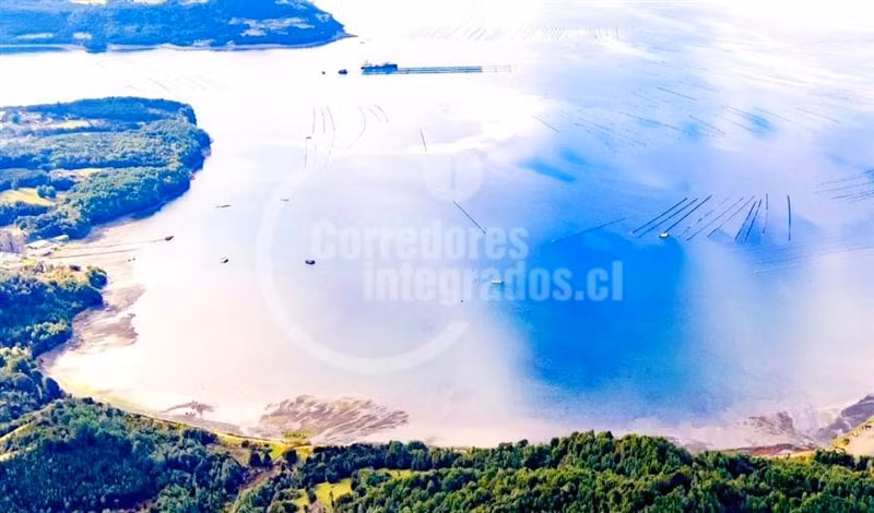 Hermosa Parcela conservación Chiloe. Bosque nativo y playa.