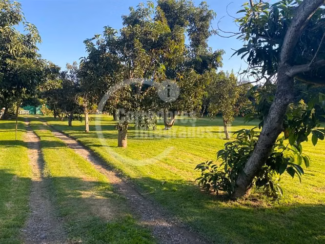 Parcela venta Peñaflor casa,arboles frutales, piscina. PPW