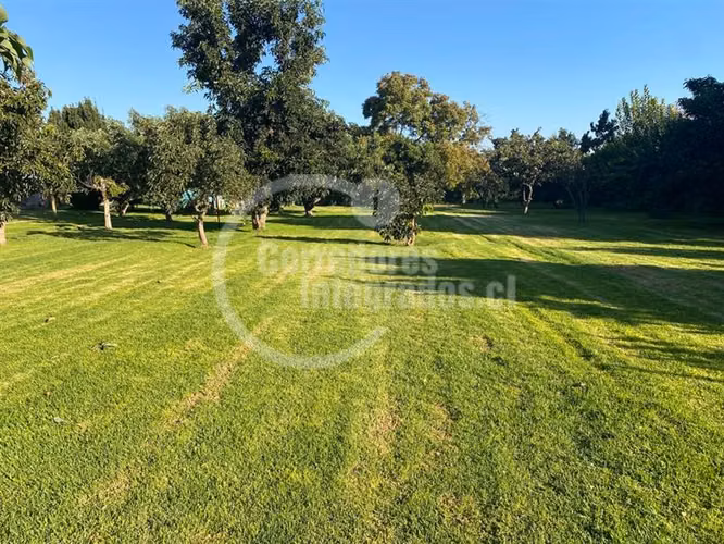 Parcela venta Peñaflor casa,arboles frutales, piscina. PPW