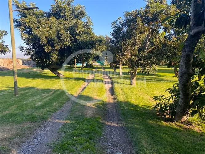Parcela venta Peñaflor casa,arboles frutales, piscina. PPW