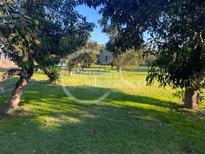 Parcela venta Peñaflor casa,arboles frutales, piscina. PPW