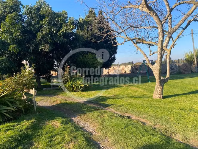 Parcela venta Peñaflor casa,arboles frutales, piscina. PPW