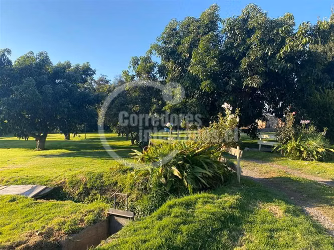 Parcela venta Peñaflor casa,arboles frutales, piscina. PPW