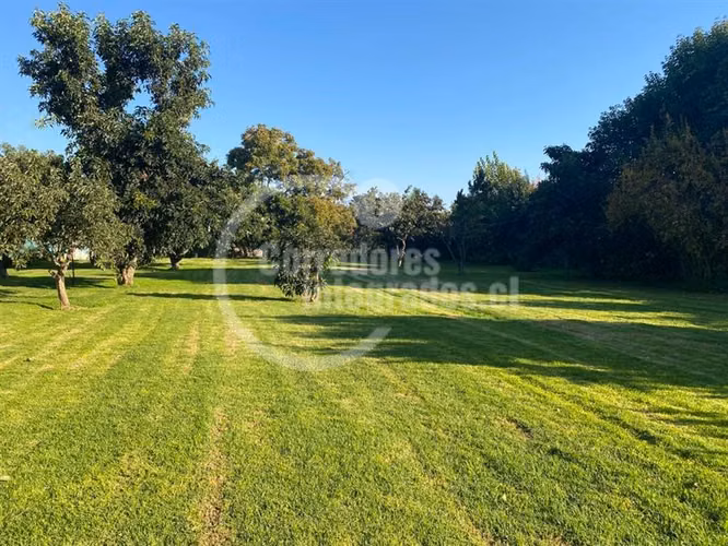 Parcela venta Peñaflor casa,arboles frutales, piscina. PPW