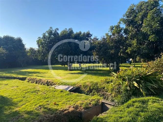 Parcela venta Peñaflor casa,arboles frutales, piscina. PPW