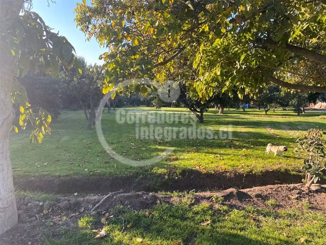 Parcela venta Peñaflor casa,arboles frutales, piscina. PPW