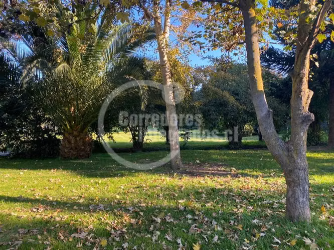Parcela venta Peñaflor casa,arboles frutales, piscina. PPW