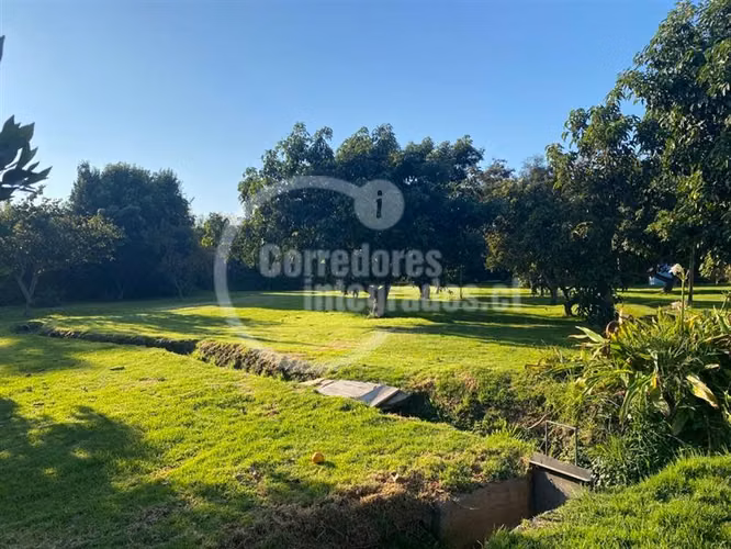 Parcela venta Peñaflor casa,arboles frutales, piscina. PPW